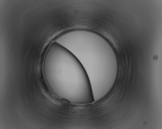 X0000096700492200802121206