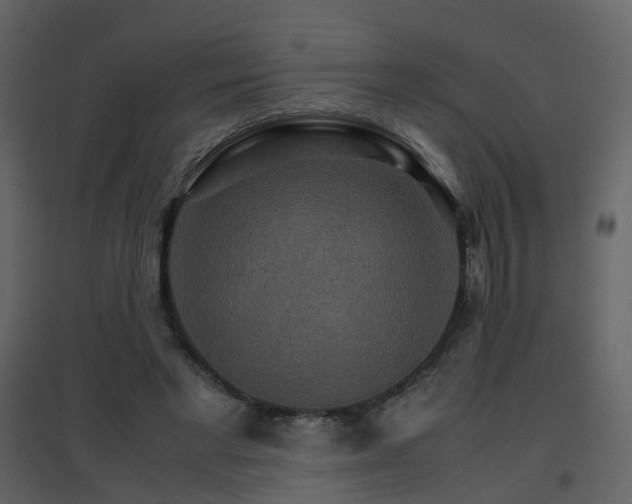 X0000096700493200802121206