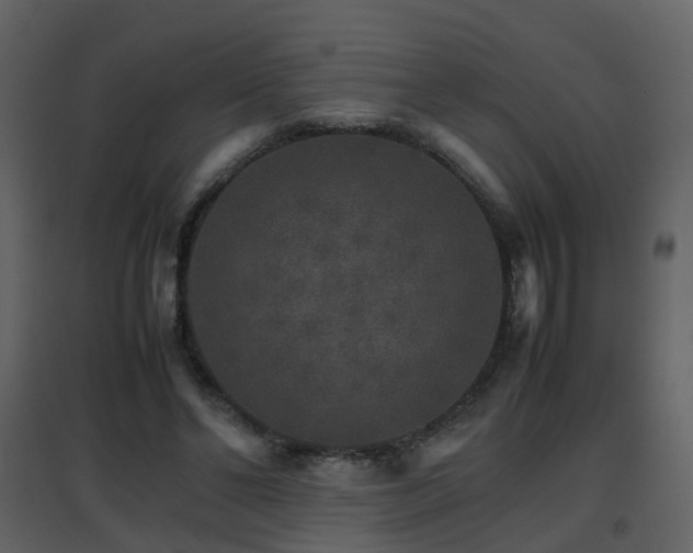 X0000096700494200802121206