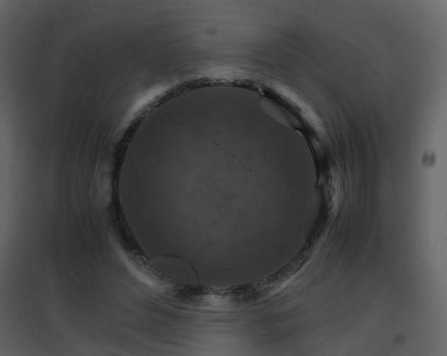 X0000096700496200802121206