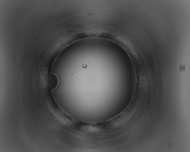 X0000096700498200802121206