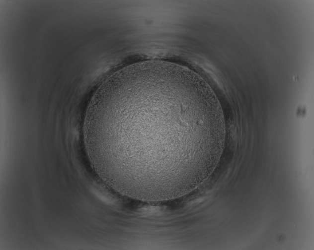 X0000096700499200802121206
