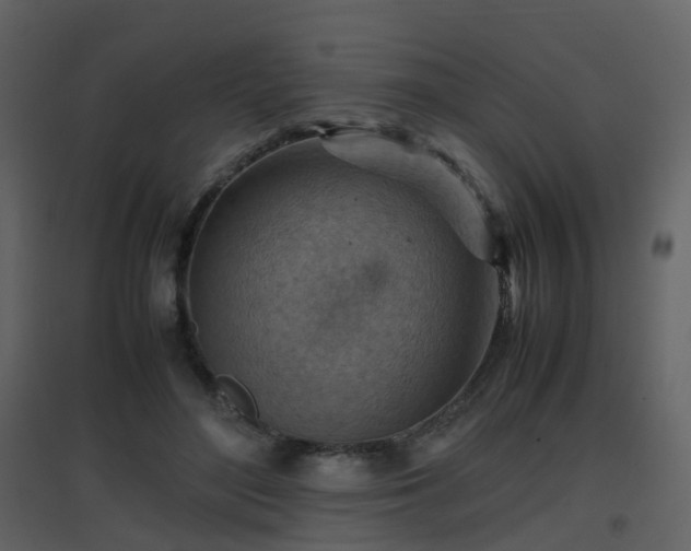 X0000096700500200802121206