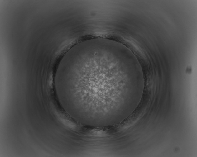 X0000096700502200802121206