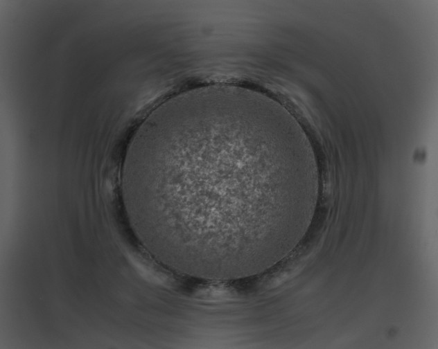 X0000096700503200802121206