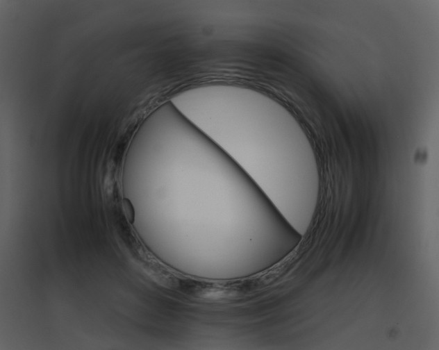 X0000096700504200802121206