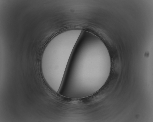 X0000096700505200802121206