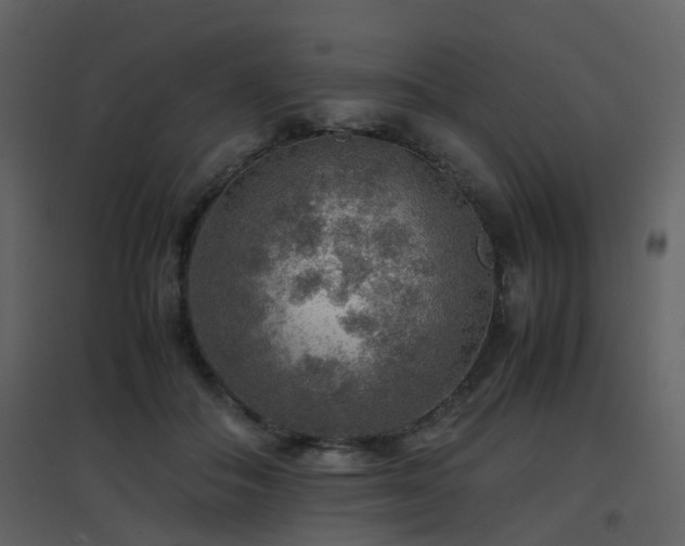 X0000096700506200802121206