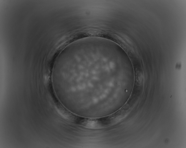 X0000096700507200802121206