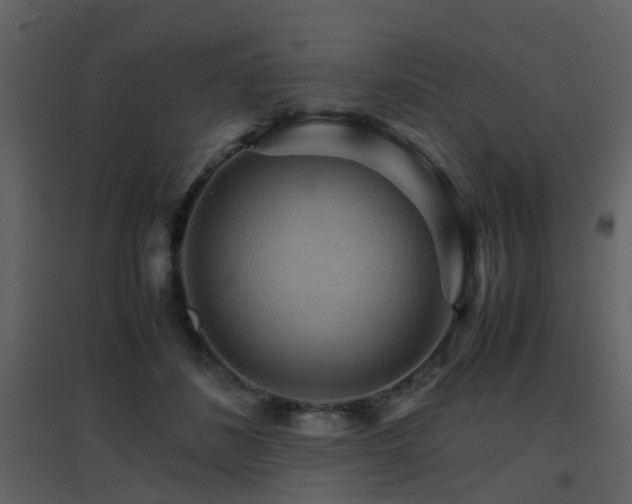 X0000096700508200802121206