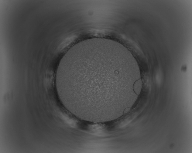 X0000096700511200802121206