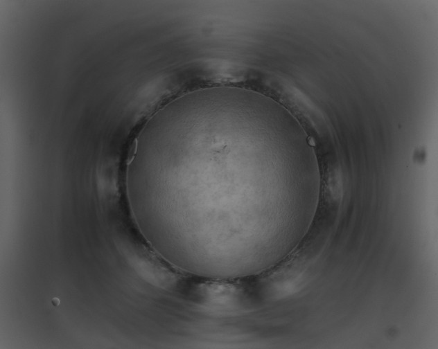 X0000096700512200802121206