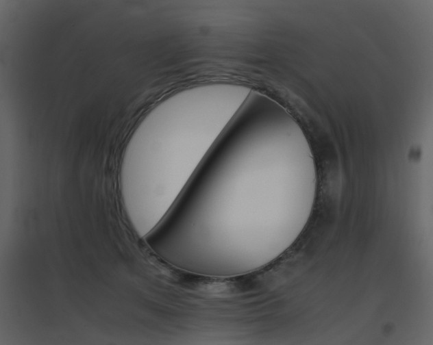 X0000096700513200802121206