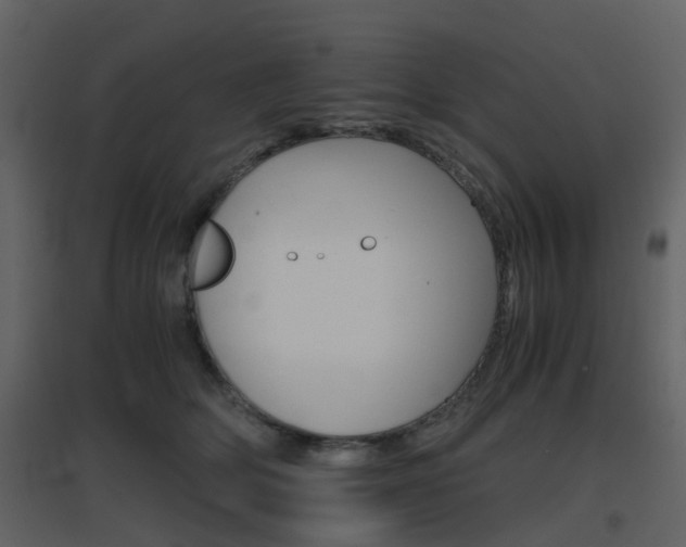 X0000096700514200802121206