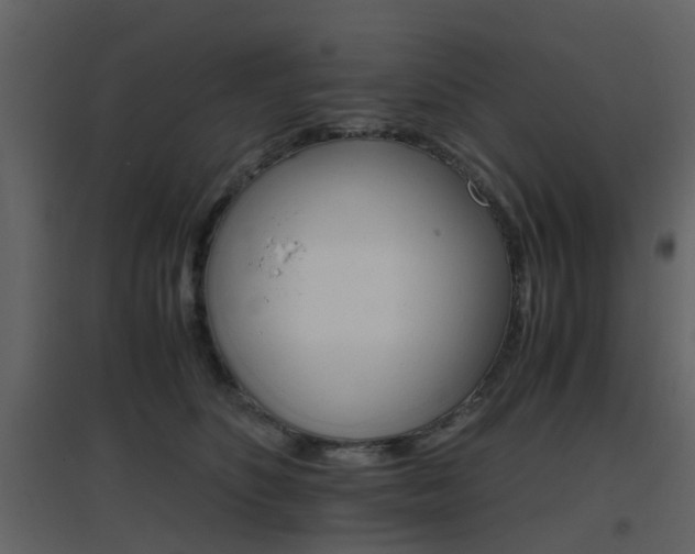 X0000096700516200802121206