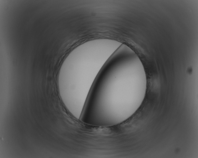 X0000096700517200802121206
