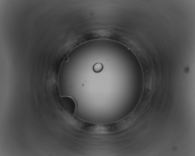X0000096700518200802121205