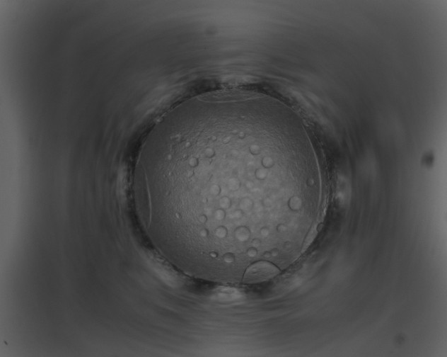 X0000096700519200802121205