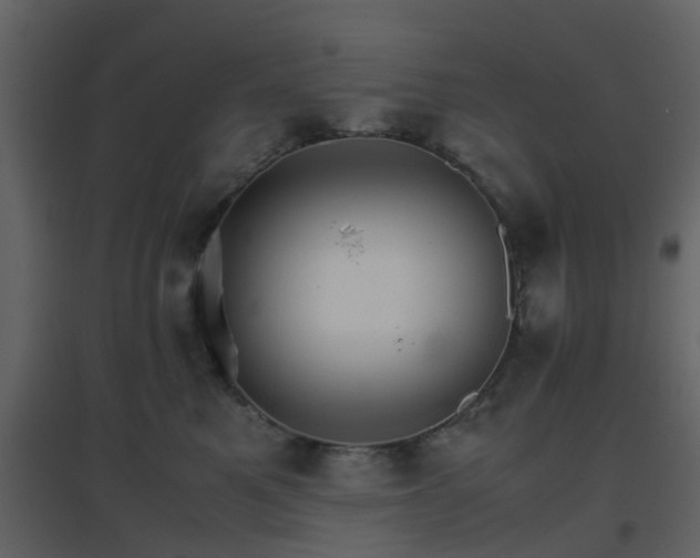 X0000096700521200802121205