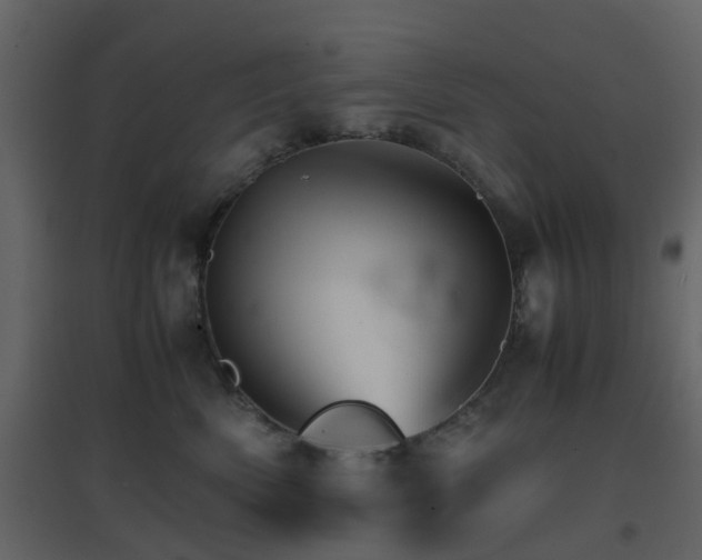 X0000096700522200802121205