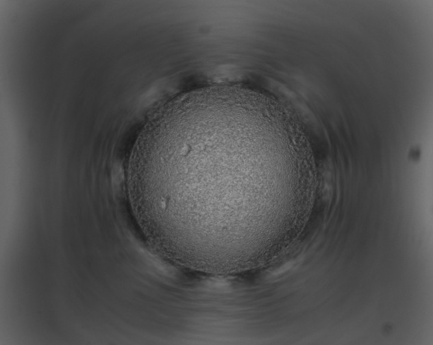 X0000096700523200802121205