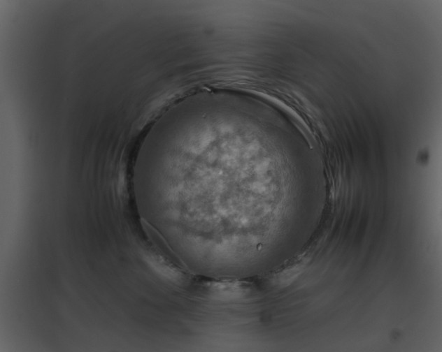 X0000096700524200802121205