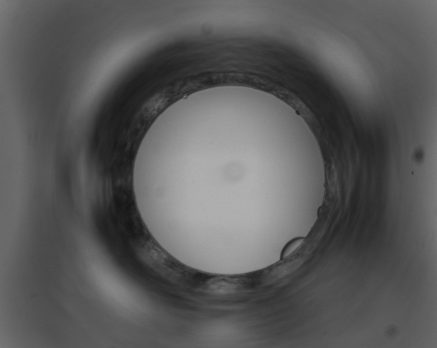 X0000096700526200802121205