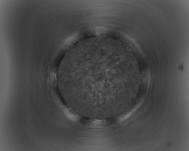 X0000096700527200802121205