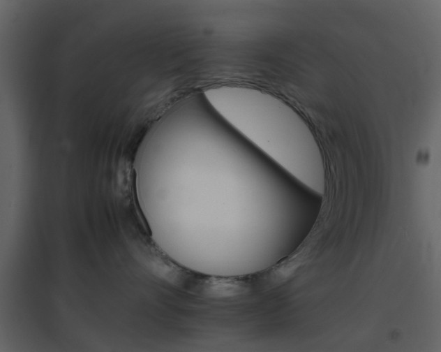 X0000096700528200802121205