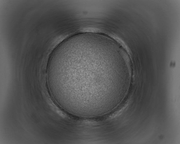 X0000096700529200802121205