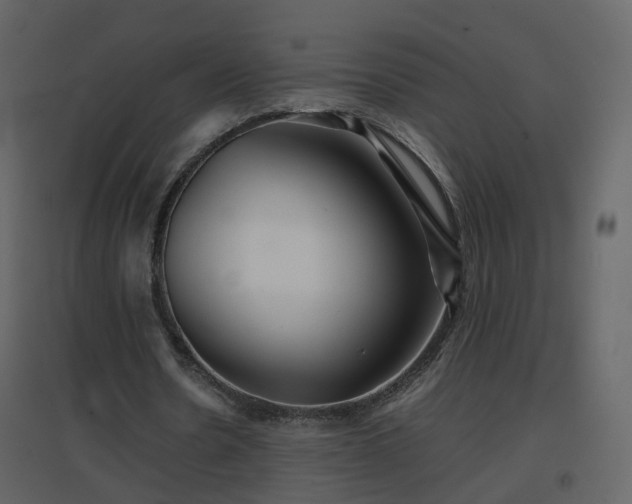 X0000096700530200802121205