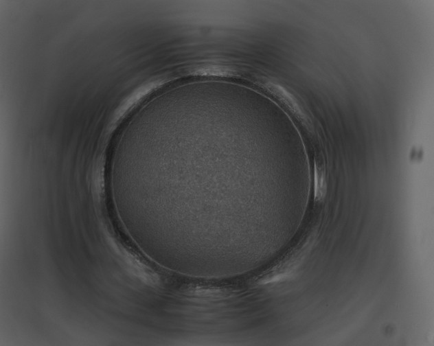 X0000096700531200802121205