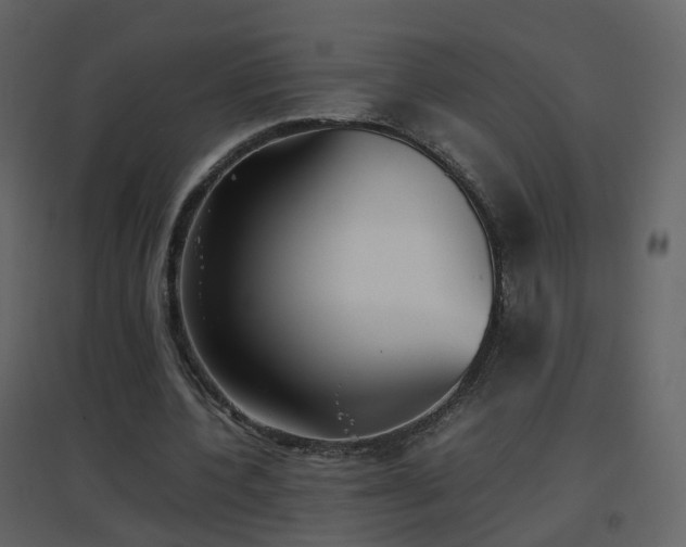 X0000096700532200802121205