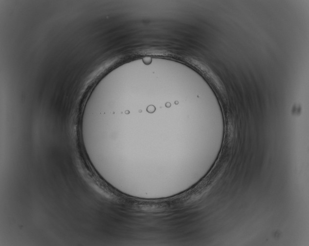 X0000096700533200802121205