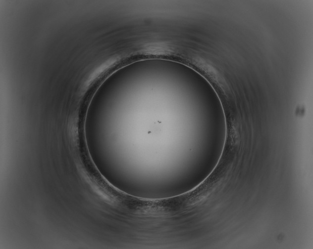 X0000096700535200802121205