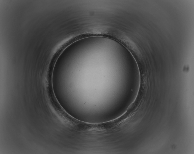 X0000096700536200802121205