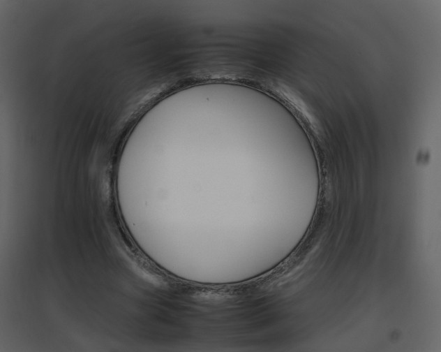 X0000096700537200802121205