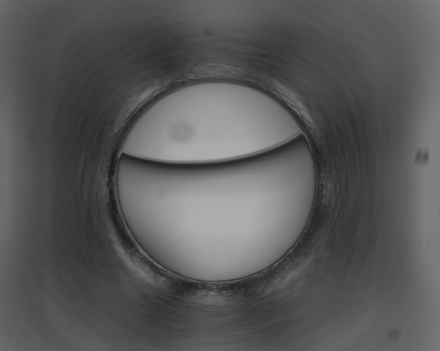 X0000096700538200802121205