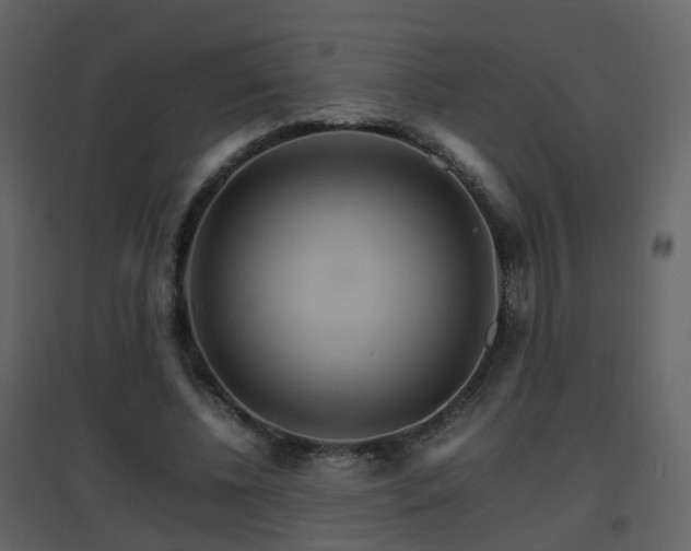X0000096700540200802121205