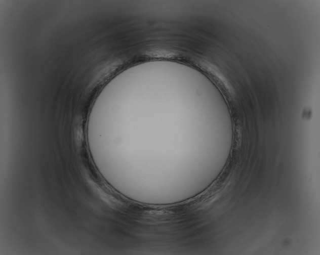 X0000096700541200802121205