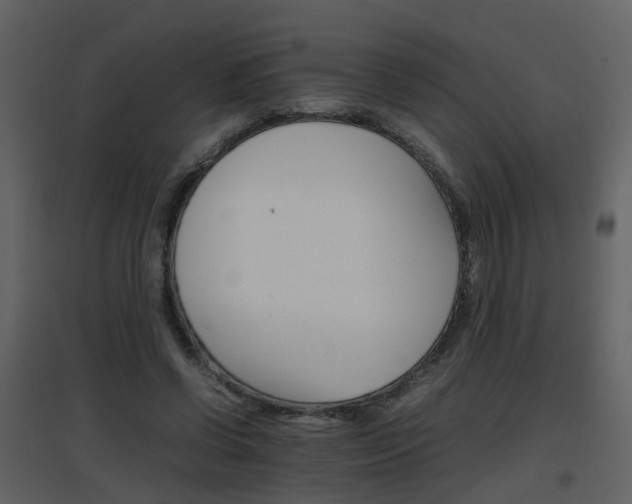 X0000096700542200802121205