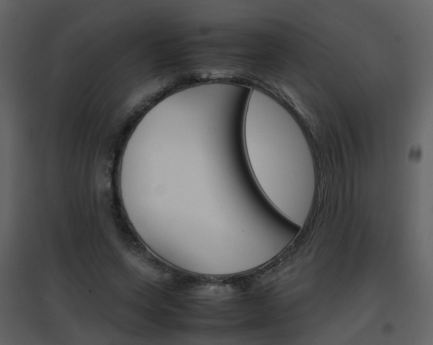 X0000096700543200802121205