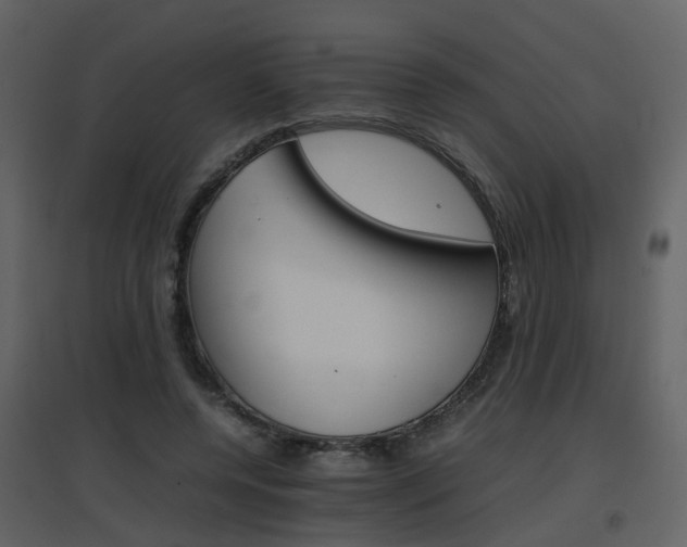 X0000096700544200802121205