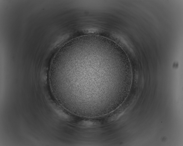 X0000096700545200802121205