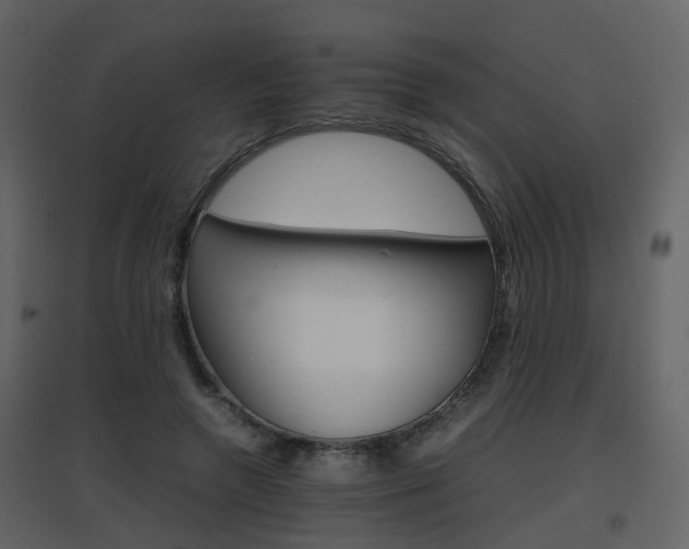 X0000096700546200802121205