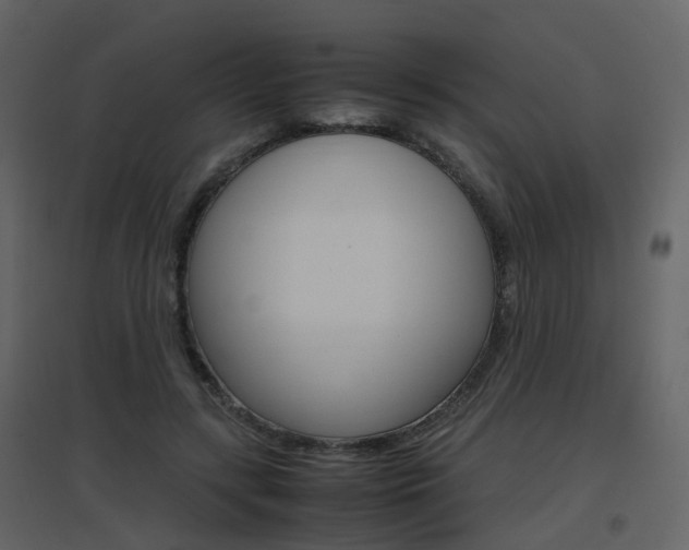 X0000096700547200802121205