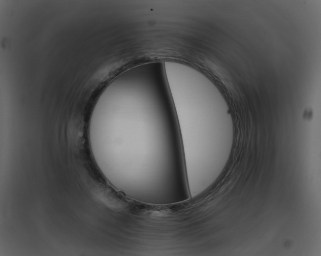 X0000096700548200802121205