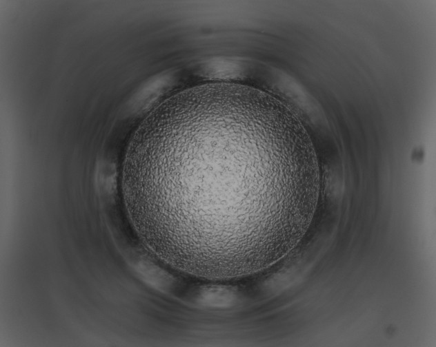 X0000096700549200802121205