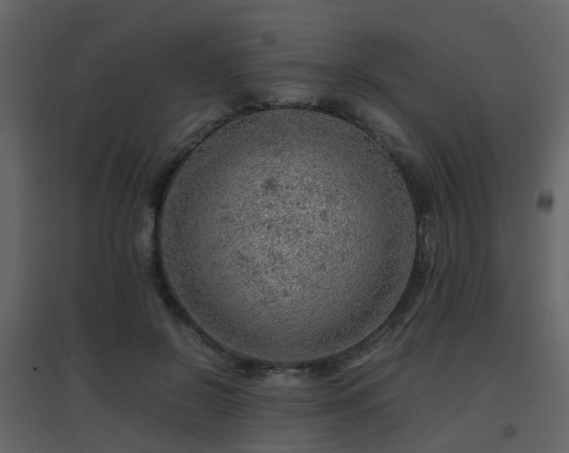 X0000096700550200802121205