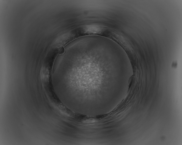 X0000096700551200802121205